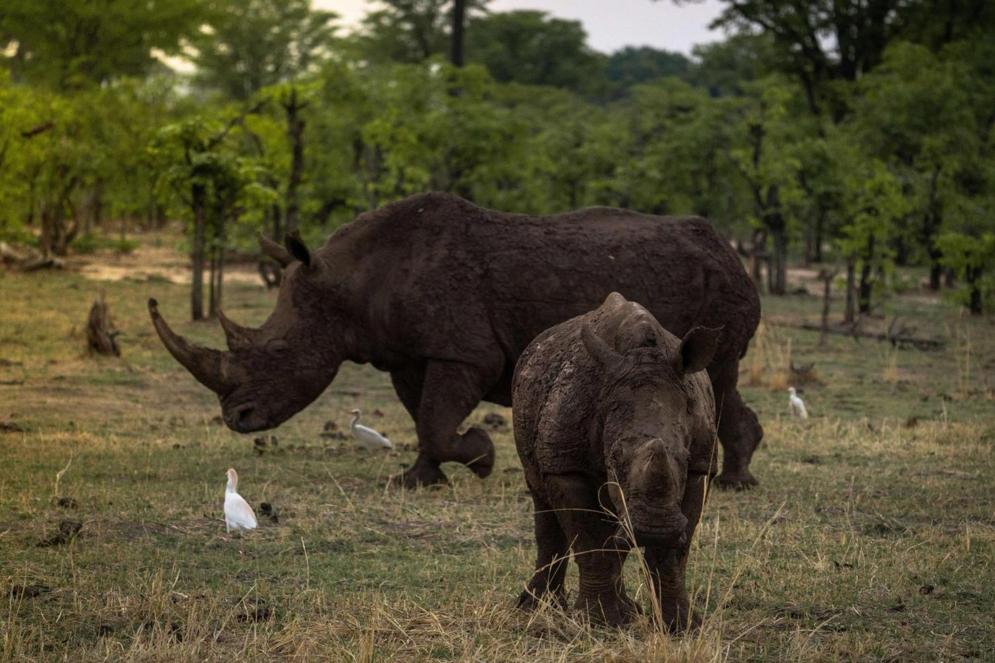 Radisson Blu Mosi-Oa-Tunya Livingstone Resort Zewnętrze zdjęcie