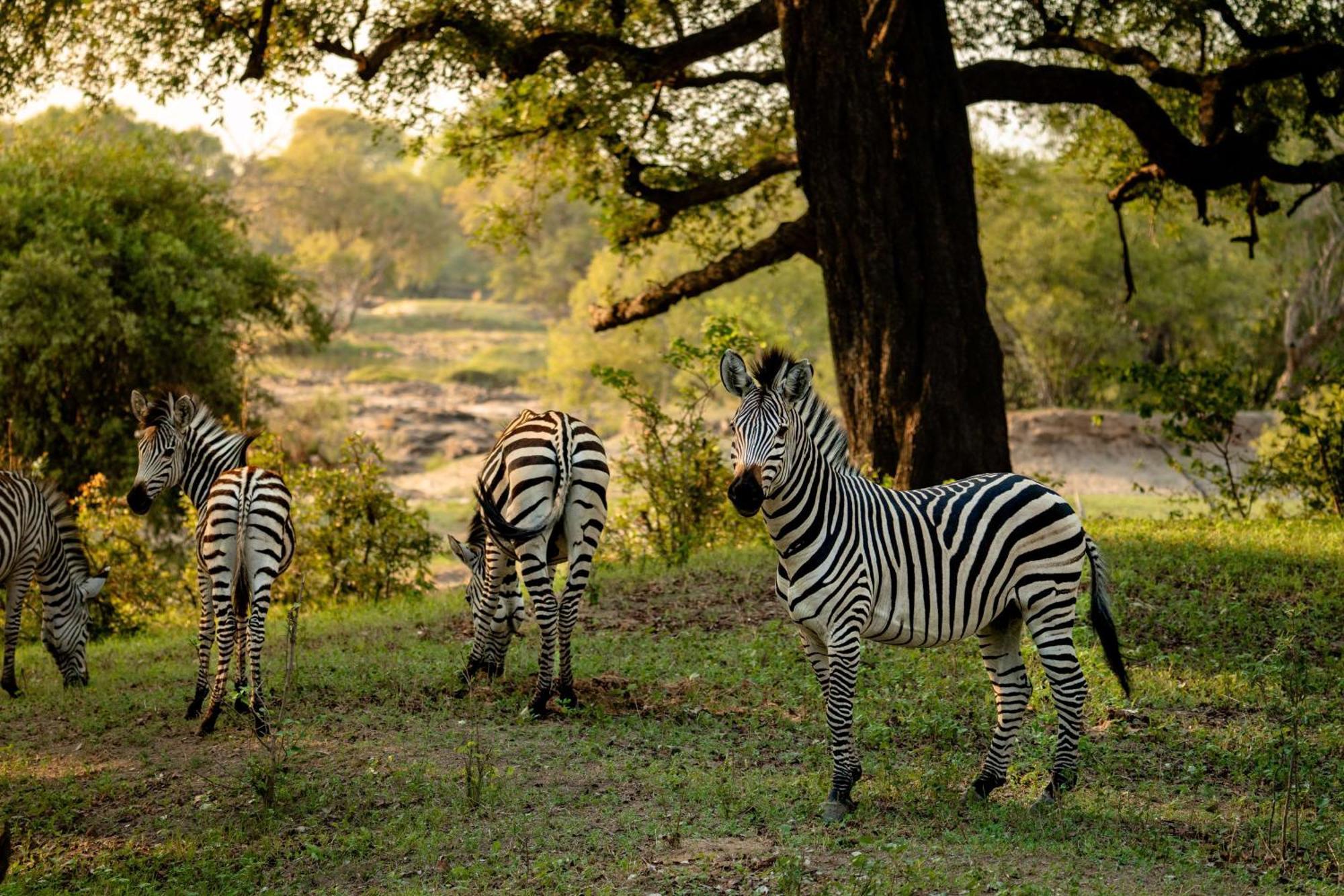 Radisson Blu Mosi-Oa-Tunya Livingstone Resort Zewnętrze zdjęcie